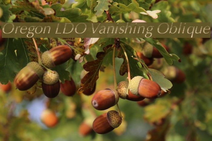 Oregon LDO Vanishing Oblique Font examples