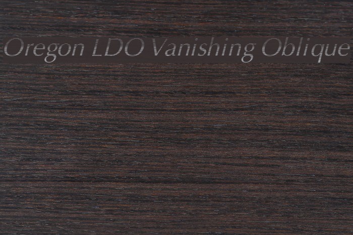 Oregon LDO Vanishing Oblique Font examples