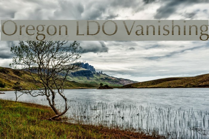 Oregon LDO Vanishing Font examples