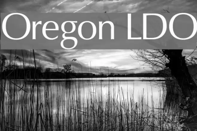 Oregon LDO Font examples