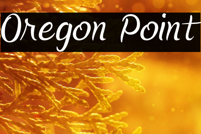 Oregon Point Example 2