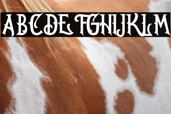 Oregon Regular Example 1