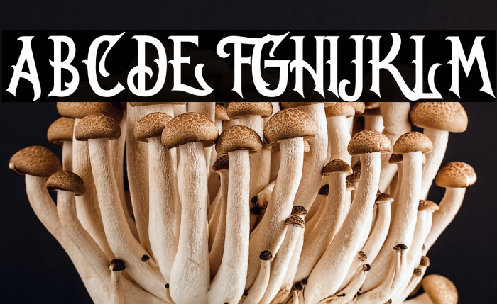 Oregon Regular Example 3