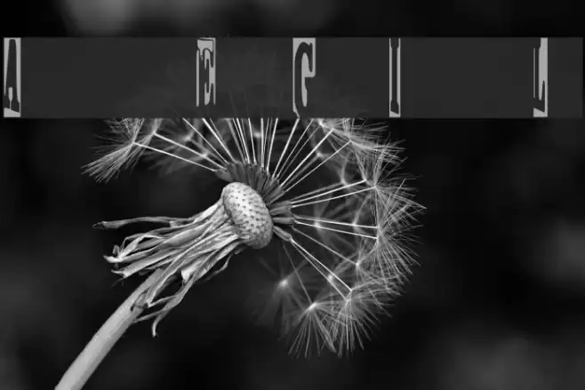 Oregon Trail Regular Font examples