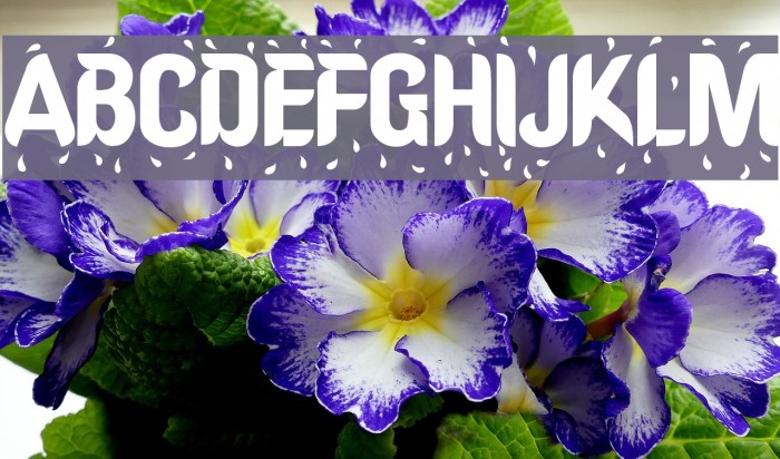 Oregon-Wet Font examples