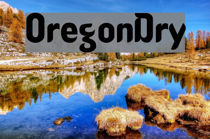 OregonDry Font examples