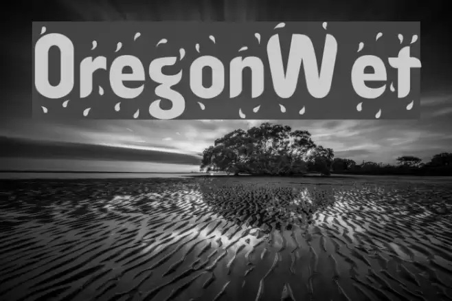 OregonWet Fonte examples