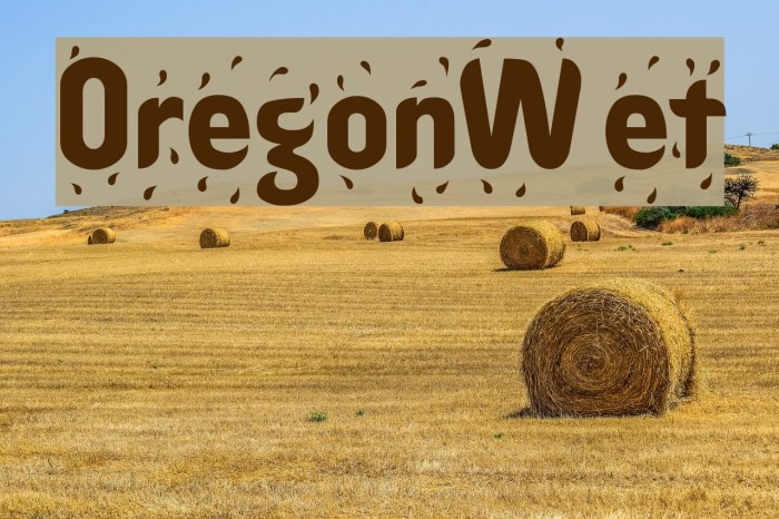 OregonWet Font examples
