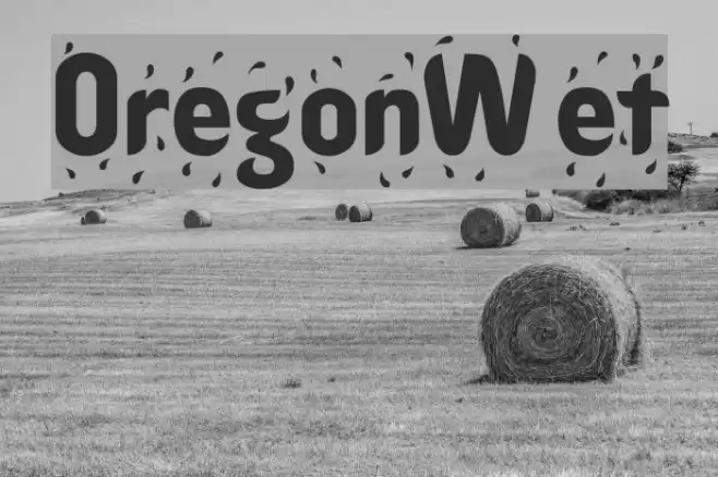 OregonWet Fonte examples
