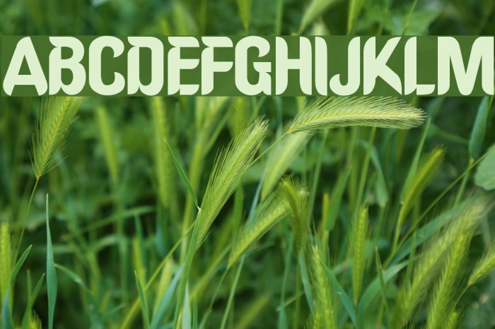 Oregon Font examples