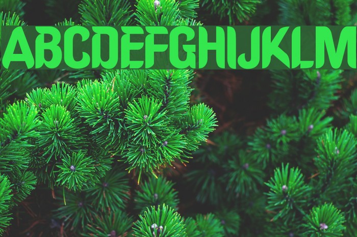Oregon Font examples