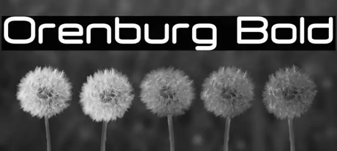 Orenburg Bold Font examples