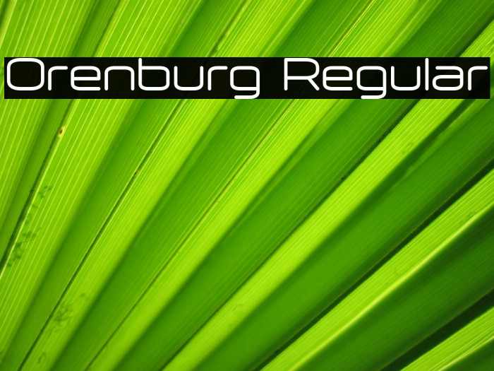 Orenburg Regular Example 1