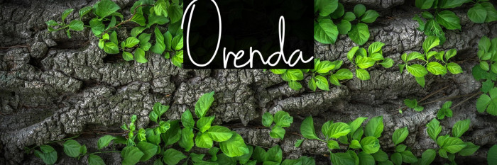 Orenda Caratteri examples