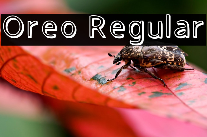 Oreo Regular Example 1