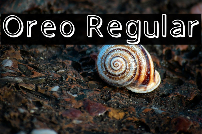Oreo Regular Example 2