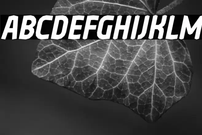 Oreta Italic Font examples