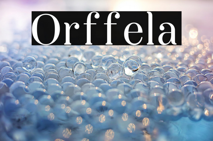 Orffela Example 1