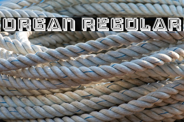 Organ Regular Example 2