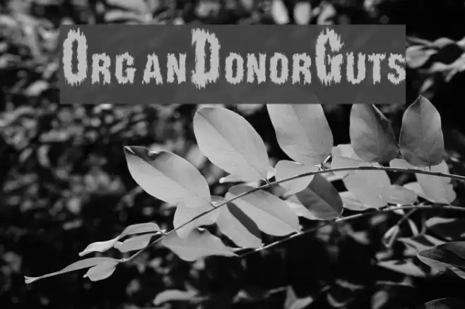 OrganDonorGuts Font examples