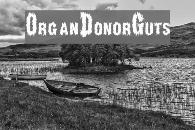 OrganDonorGuts Font examples