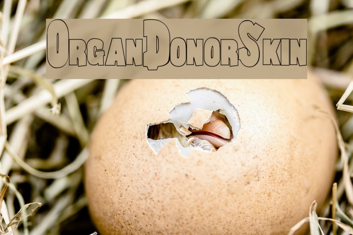 OrganDonorSkin Example 1