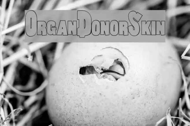 OrganDonorSkin Font examples