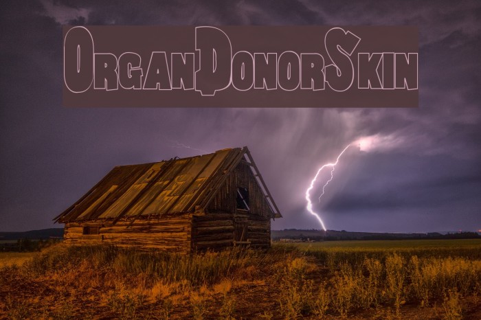 OrganDonorSkin Example 3