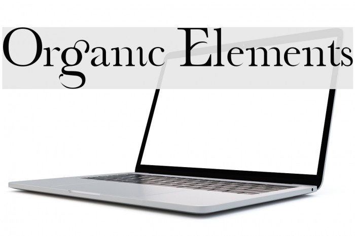 Organic Elements Example 1