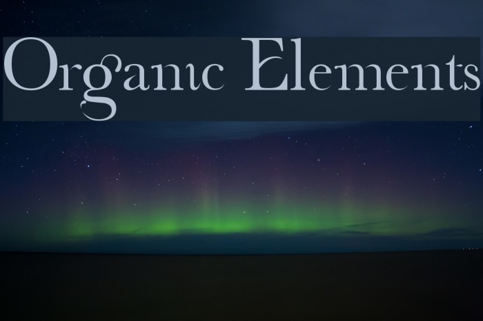 Organic Elements Example 2