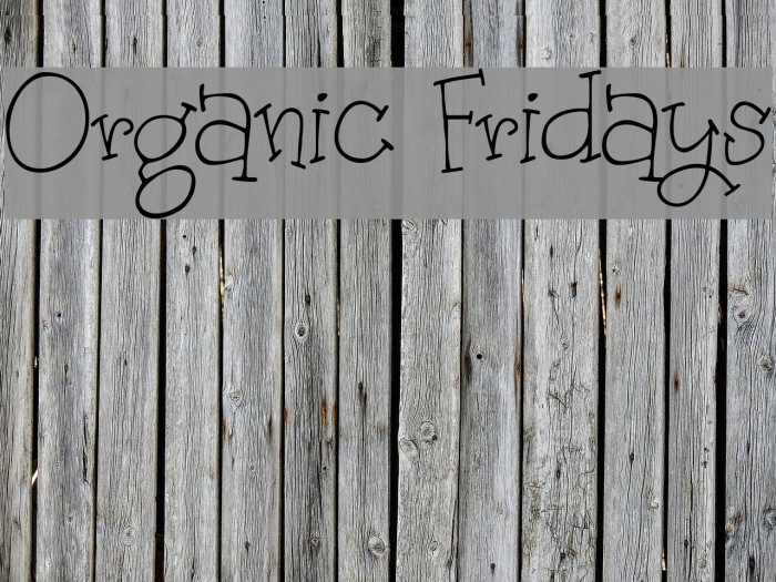 Organic Fridays Fonte examples