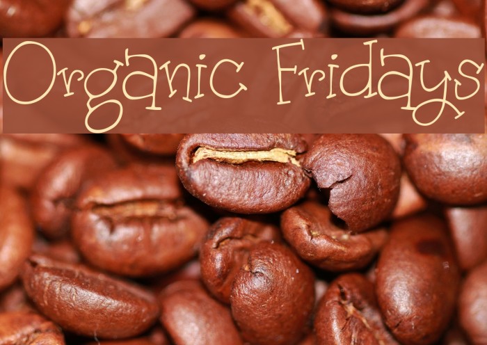 Organic Fridays Fonte examples