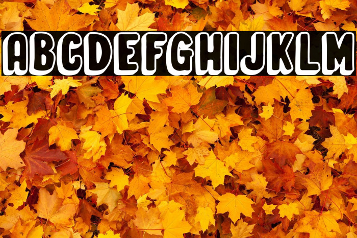 Organic Relief Example 3