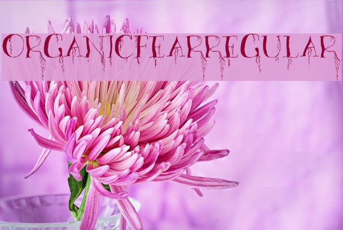 OrganicFear-Regular Font examples