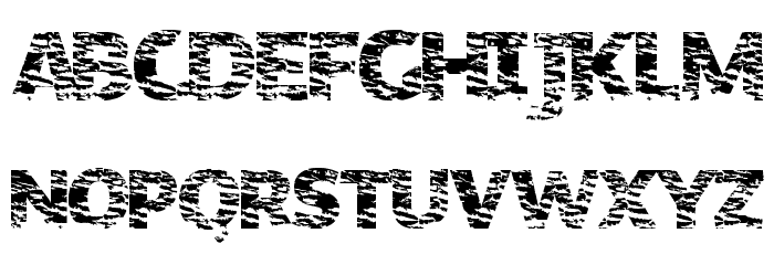 OrganicNature Font LOWERCASE