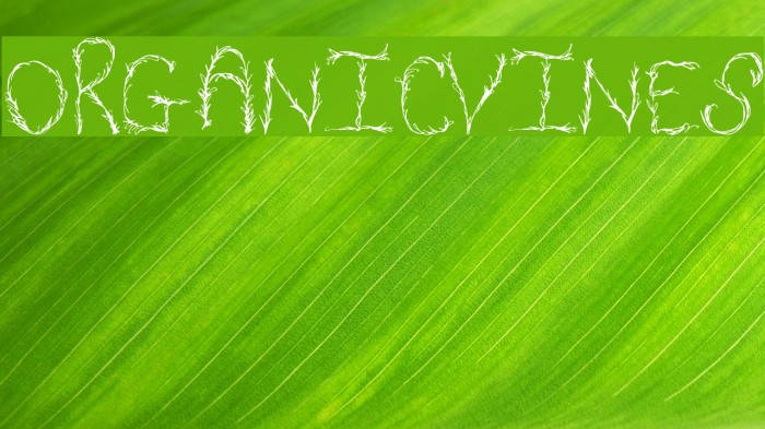 OrganicVines Font examples