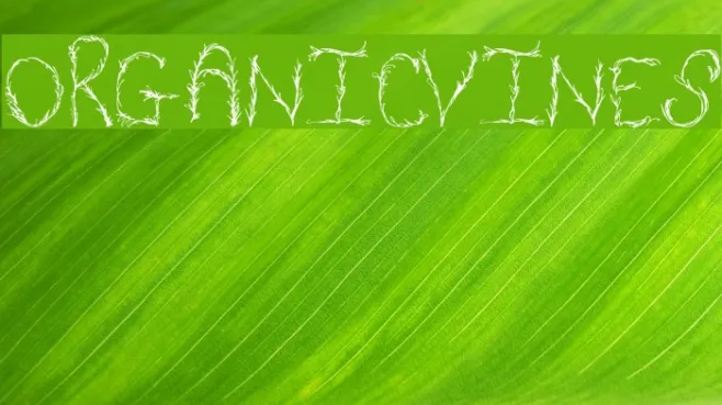 OrganicVines Example 1