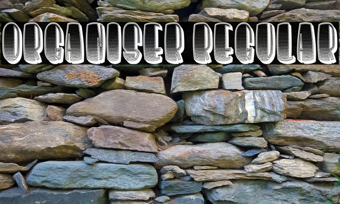 Organiser Regular Example 1