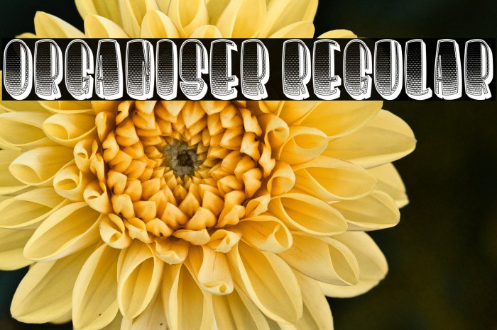 Organiser Regular Example 2