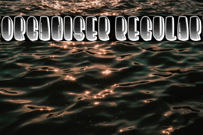 Organiser Regular Example 3