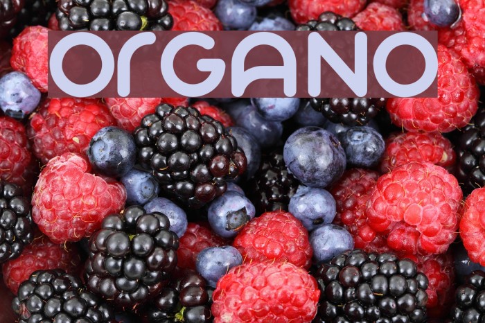 Organo Fonte examples