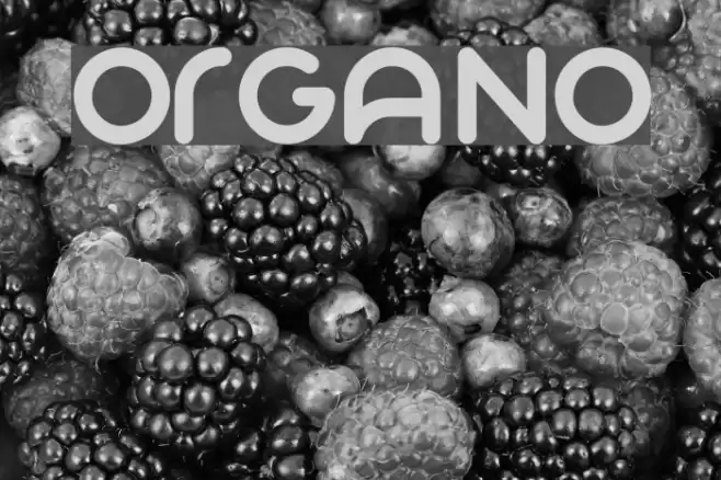 Organo Font examples