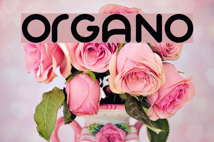 Organo Fonte examples
