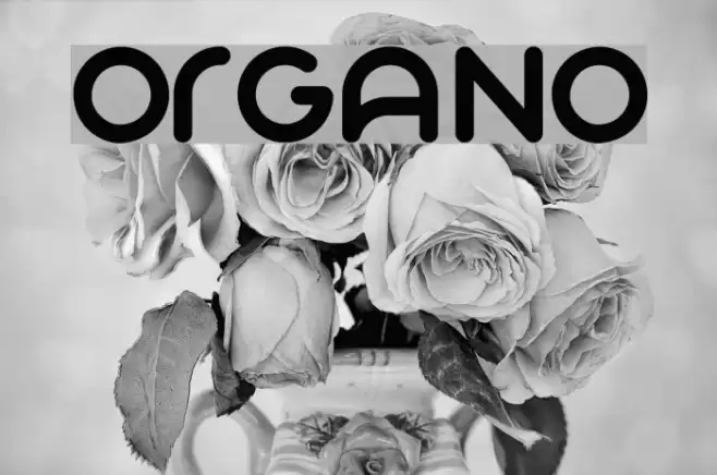 Organo Font examples