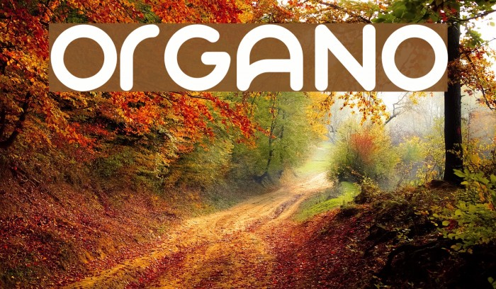 Organo Fonte examples