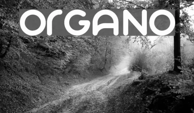 Organo Font examples