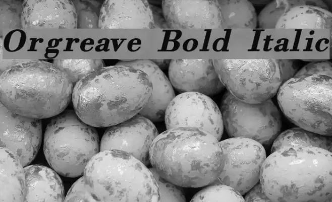 Orgreave Bold Italic Font examples