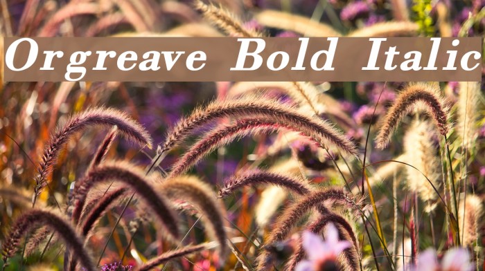 Orgreave Bold Italic Example 2