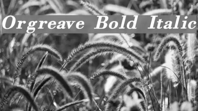 Orgreave Bold Italic Font examples