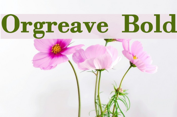 Orgreave Bold Font examples